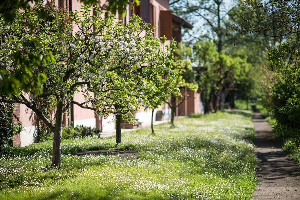 San Giacomo Horses & Agriturismo Arluno Exterior photo
